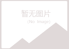 博山区冰夏会计有限公司